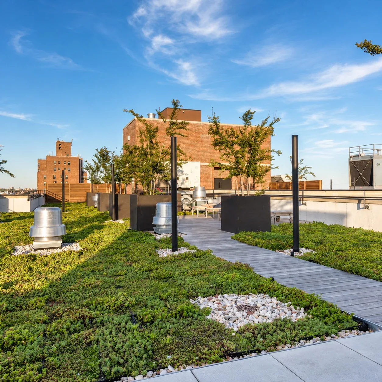 123 Parkside Avenue: Planted rooftop with a wood walkway, square planters and ventilation equipment