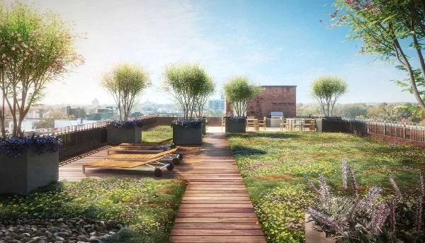 123 Parkside Avenue: Rooftop garden rendering with a wood walkway, lounge chairs and planted beds